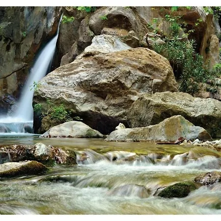 Casuta Din Cotroape - Maramures *