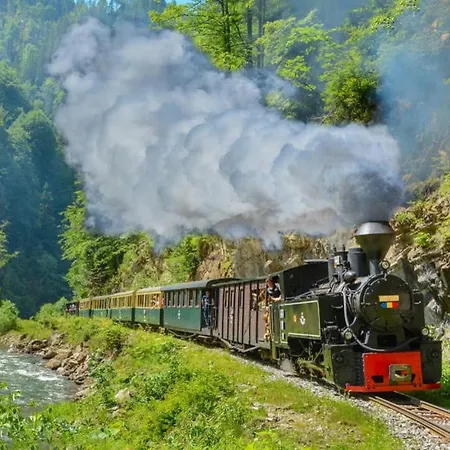 Casuta Din Cotroape - Maramures