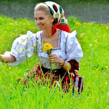 Holiday home Casuta Din Cotroape - Maramures Sacel (Maramures)