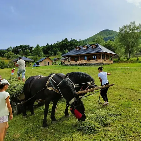 Casuta Din Cotroape - Maramures