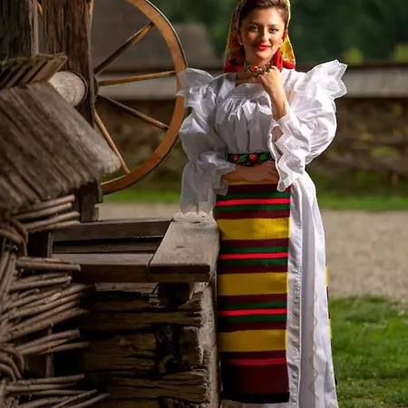 Holiday home Casuta Din Cotroape - Maramures Sacel (Maramures)