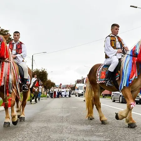 Casuta Din Cotroape - Maramures *