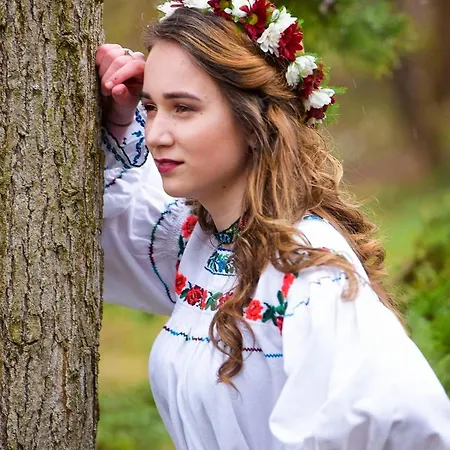 Casuta Din Cotroape - Maramures