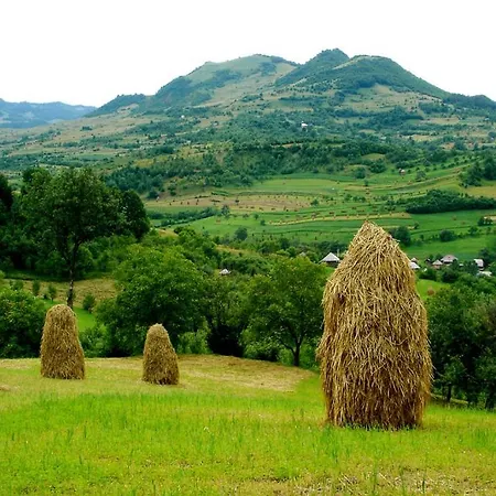 Casuta Din Cotroape - Maramures *