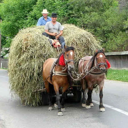 Casuta Din Cotroape - Maramures