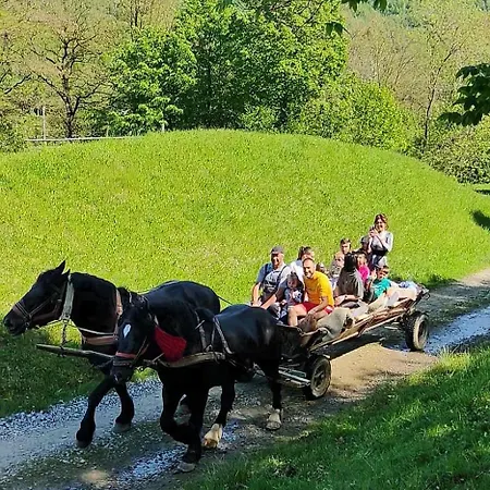 Holiday home Casuta Din Cotroape - Maramures *