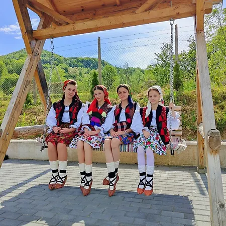 Casuta Din Cotroape - Maramures Holiday home *